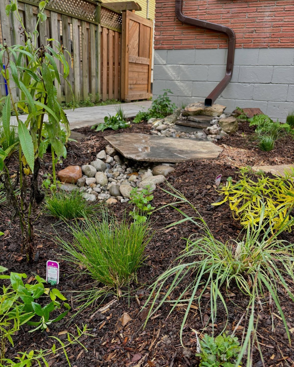 A stone-lined drainage area with green plants and mulch next to a brick wall.