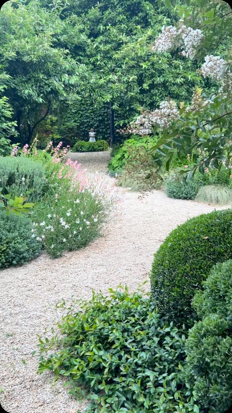 Light gravel path winding through a lush garden with green shrubs and flowering plants.