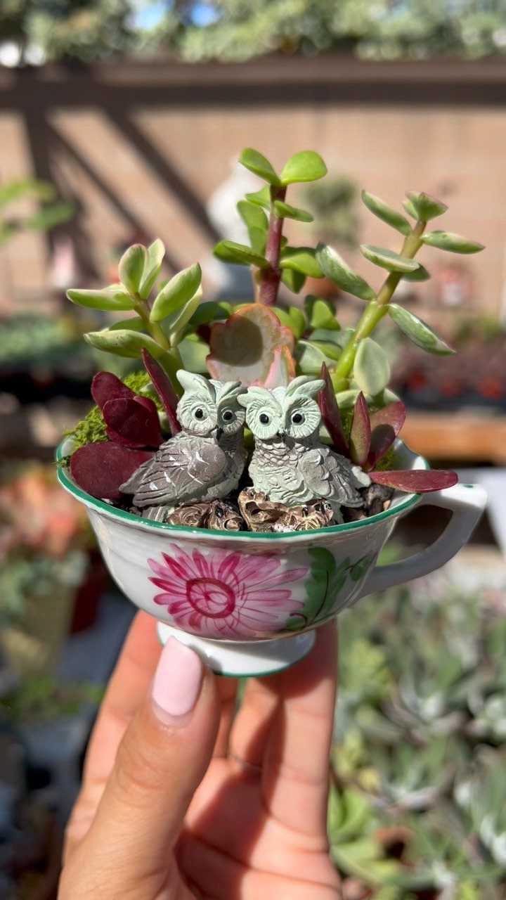 23 Fairy Garden Ideas for Tiny Houses, Teacups and Tree Trunks 11 Two miniature owl figurines nestled among succulents inside a decorative floral teacup held by a hand.