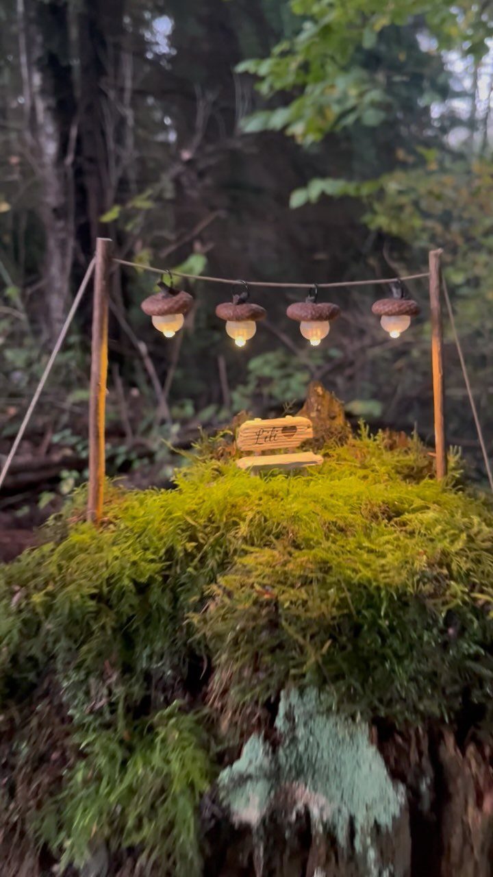 23 Fairy Garden Ideas for Tiny Houses, Teacups and Tree Trunks 1 Acorn-shaped glowing lights hanging on a string above a mossy tree stump in a forest.
