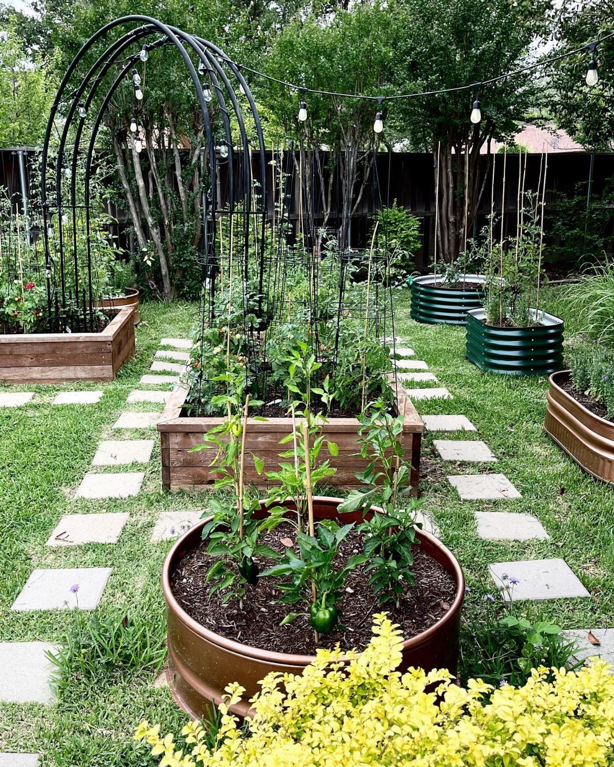 Raised garden beds containing green vegetable plants arranged on a grassy lawn with stone pavers.