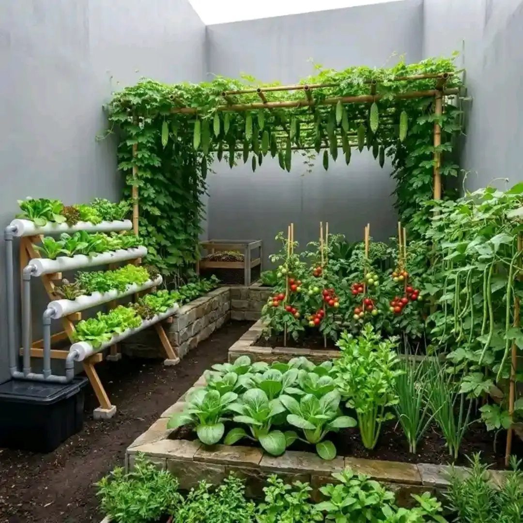 A bamboo trellis arch covered in climbing cucumber vines over stone garden beds.