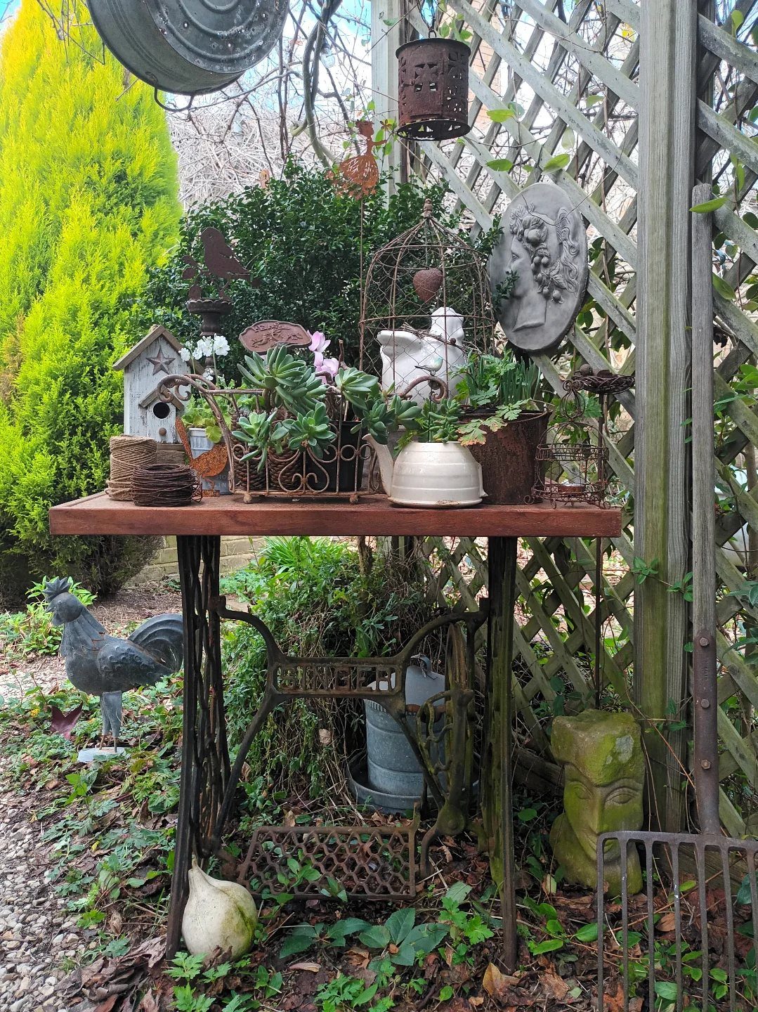 A wooden table decorated with plants, a teapot, and a birdhouse against a garden lattice.