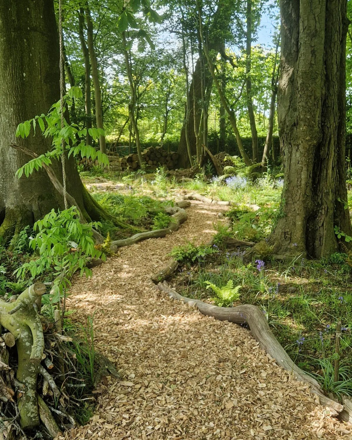 10 Garden Pathways Ideas for Gravel, Brick, Wood and Stone 5 A winding wood chip path curves through a lush, green forest surrounded by large trees.