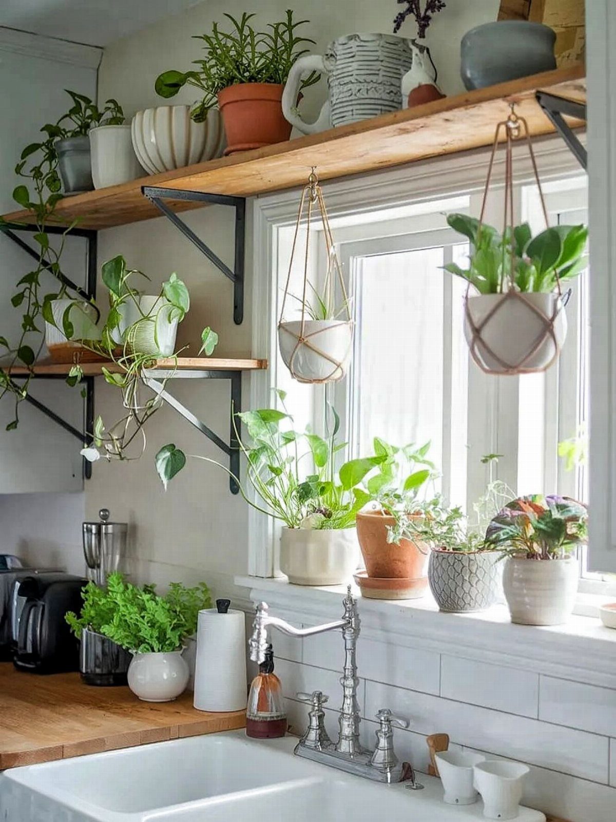 Green potted plants and ceramic decor arranged on wooden open shelves above a kitchen sink.