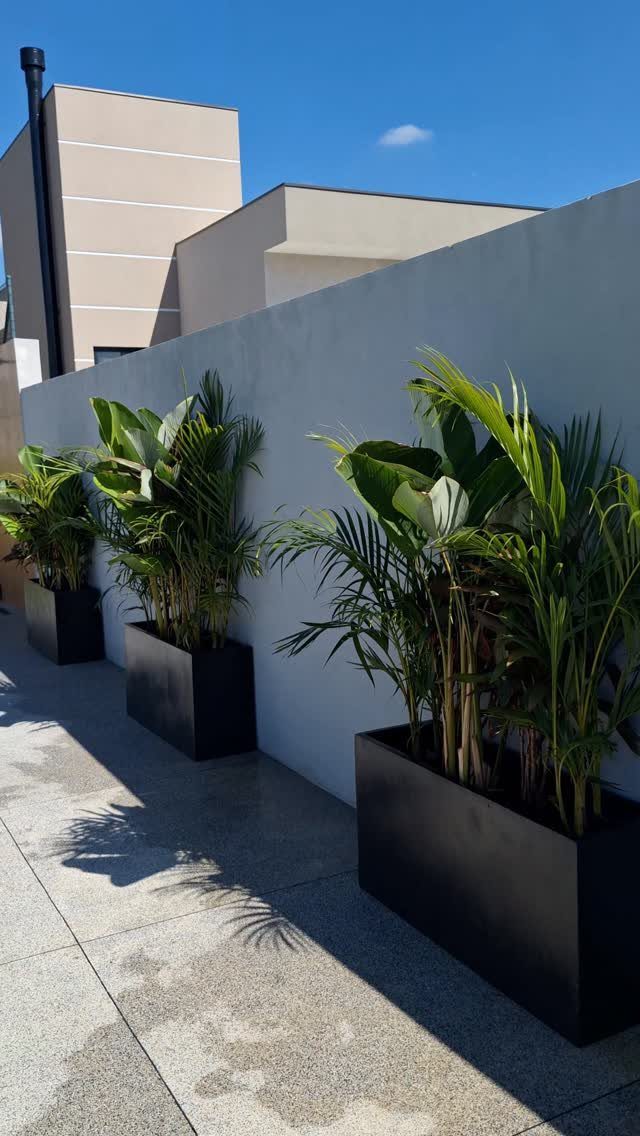 Outdoor Planter Boxes: 5 Ideas for Gardening, Balconies, and Modern Style 5 Black rectangular planter boxes with green tropical plants lined up against a grey wall.