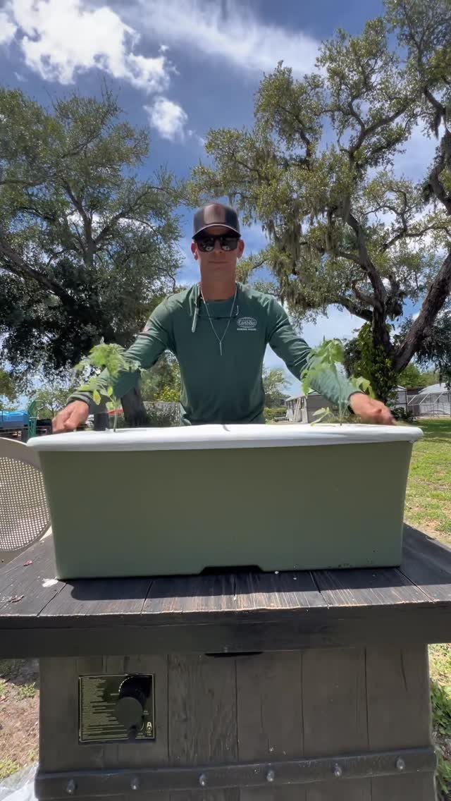 Outdoor Planter Boxes: 5 Ideas for Gardening, Balconies, and Modern Style 1 A man standing behind a large green EarthBox container gardening system on a wooden table outdoors.