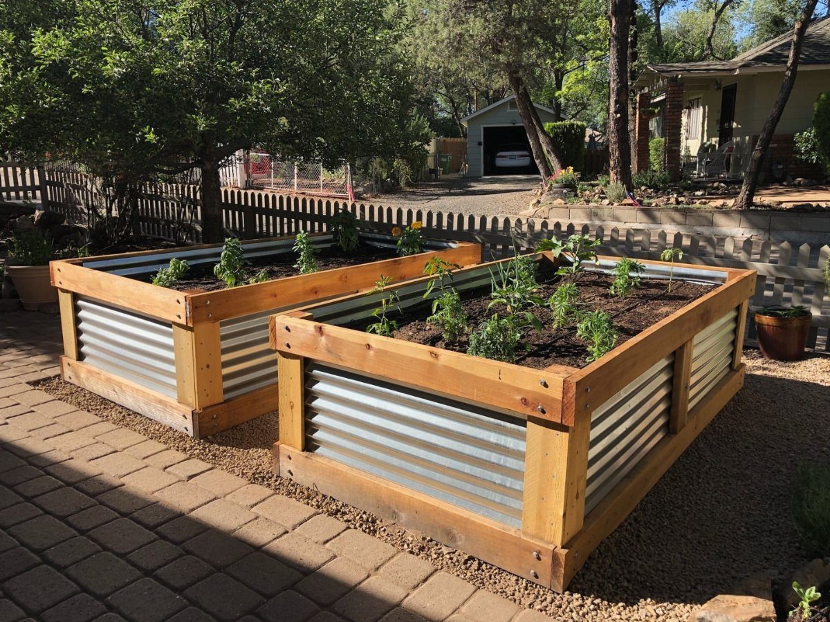 13 Planter Boxes Ideas for Your Porch, Deck and Garden 4 Two rectangular raised garden beds with wooden frames and corrugated metal sides containing small green plants.