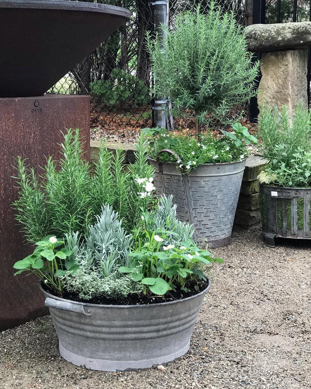 13 Planter Boxes Ideas for Your Porch, Deck and Garden 12 Galvanized metal buckets filled with green herbs and white flowers sitting on gravel outdoors.