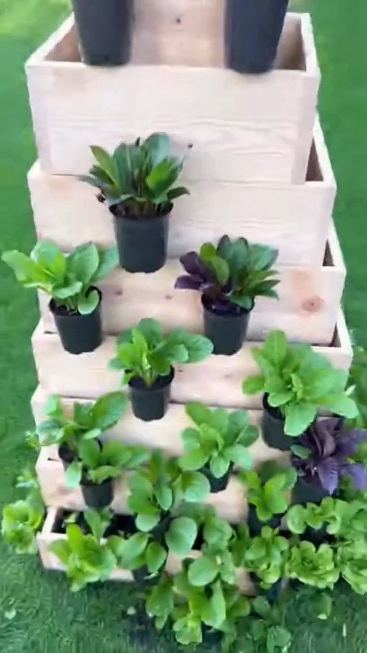 13 Planter Boxes Ideas for Your Porch, Deck and Garden 1 A wooden tiered planter box holding several small green plants in black pots.