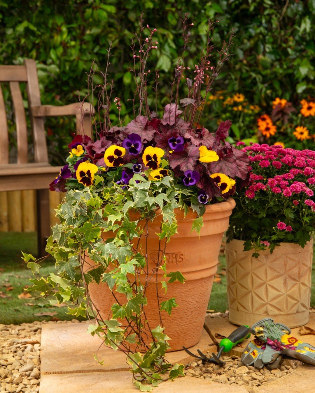 17 Pot Plants for Outdoor Spaces: Ideas That Thrive in Containers 9 Purple and yellow pansies with trailing ivy growing in a large terracotta garden pot.