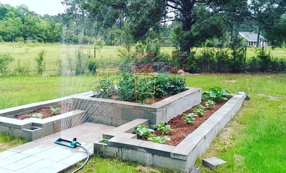 14 Raised Garden Bed Ideas for Cedar, Stone, Metal & More 6 Cinder block raised garden beds filled with green plants being watered by a garden hose.