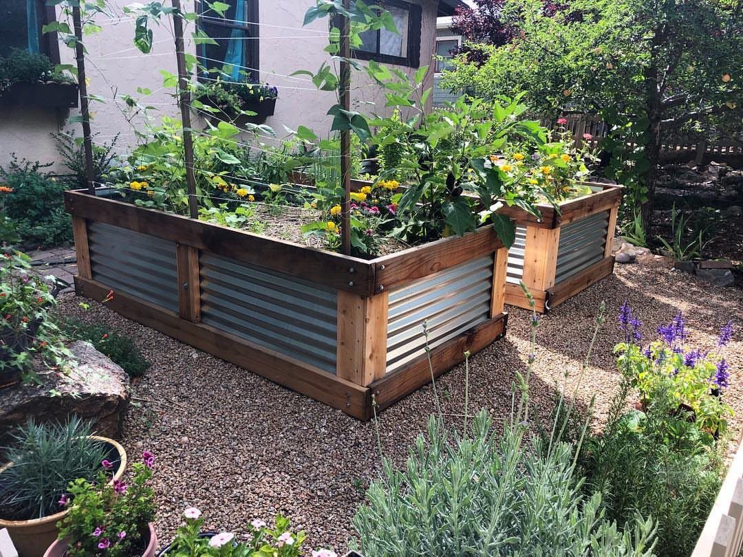 14 Raised Garden Bed Ideas for Cedar, Stone, Metal & More 7 Two wooden raised garden beds with corrugated metal sides filled with lush green plants and flowers.