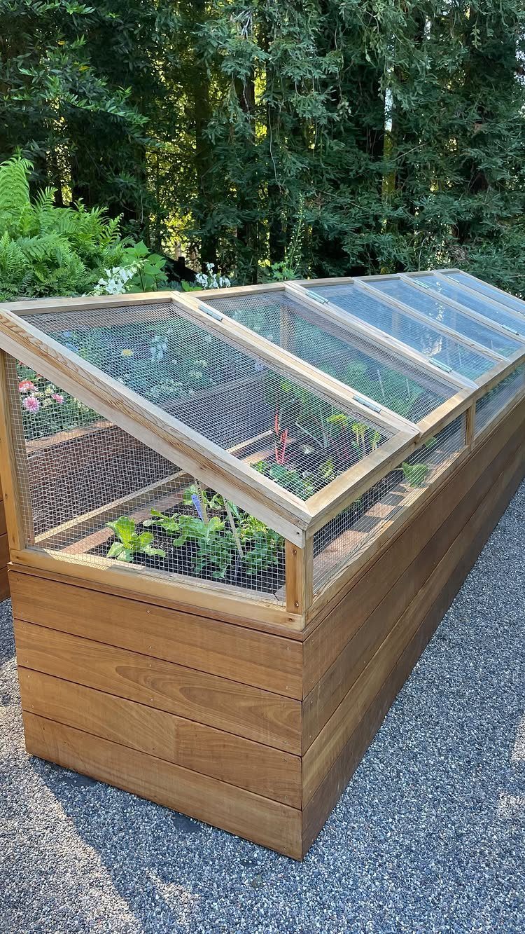 Wooden raised garden bed with a wire mesh and clear panel protective enclosure over green plants.