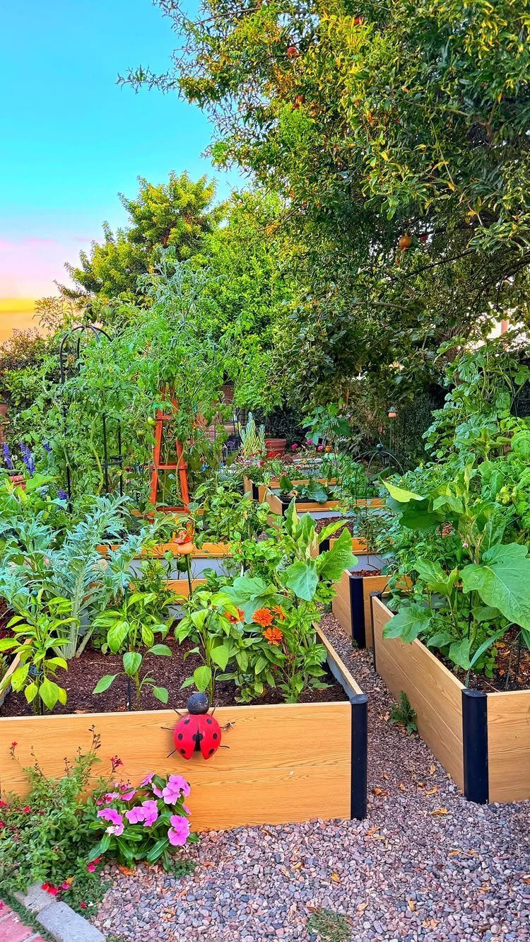 Wooden raised garden beds filled with various green vegetable plants and colorful flowers in a sunny garden.