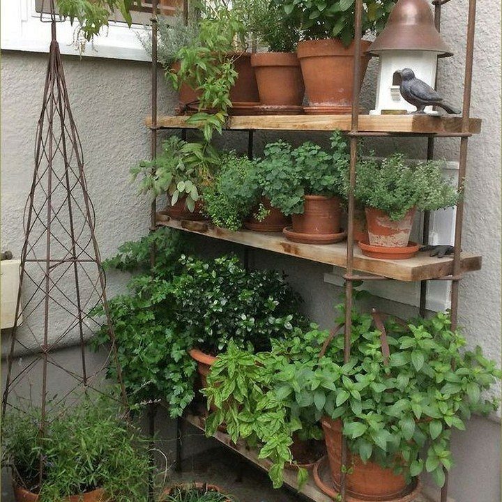 18 Small Backyard Garden Ideas for Compact Outdoor Style 12 Terracotta pots containing various green herbs arranged on a multi-tiered metal garden shelf.