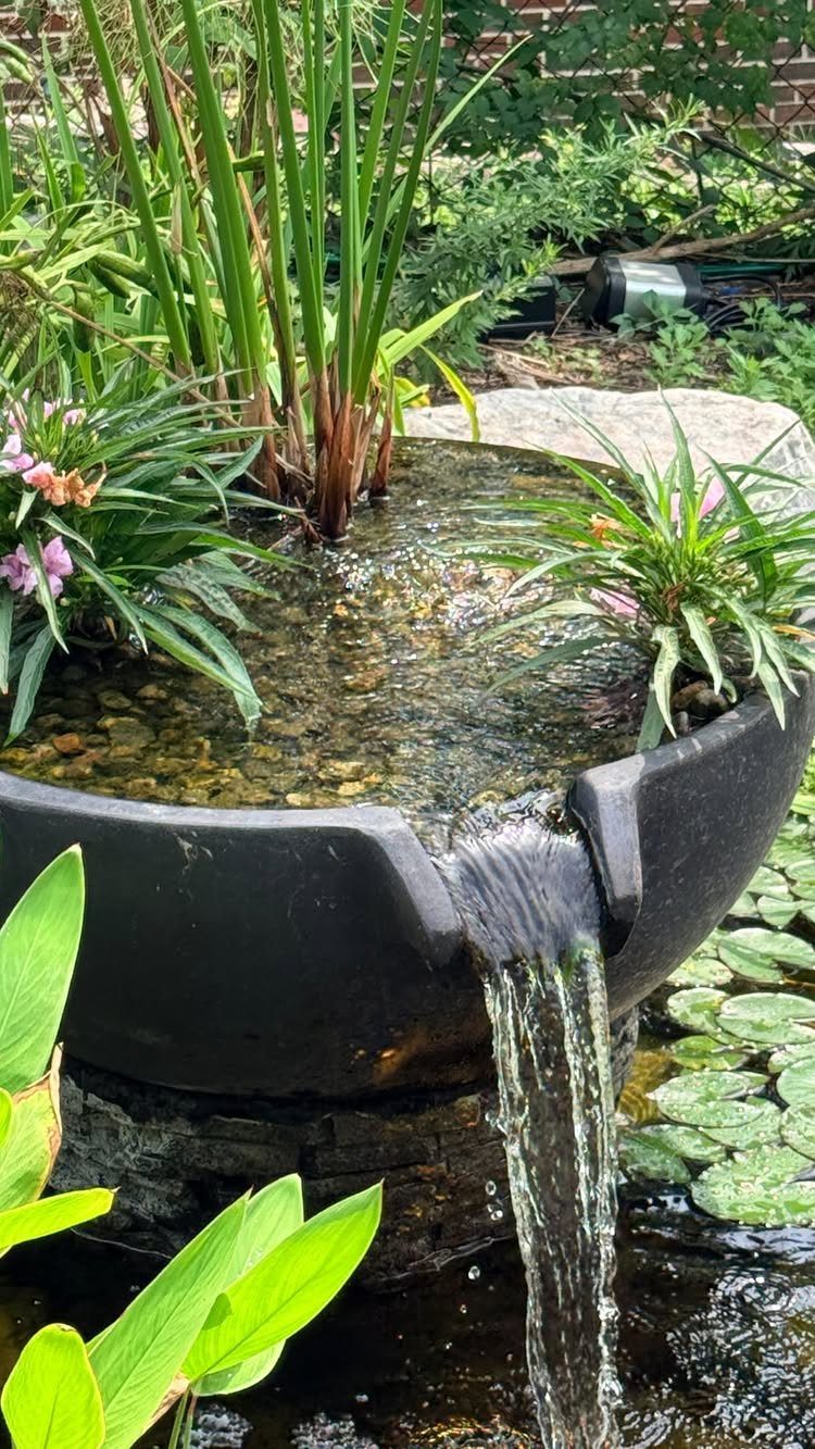 18 Small Backyard Garden Ideas for Compact Outdoor Style 11 A black bowl fountain with flowing water and green plants in a garden setting.