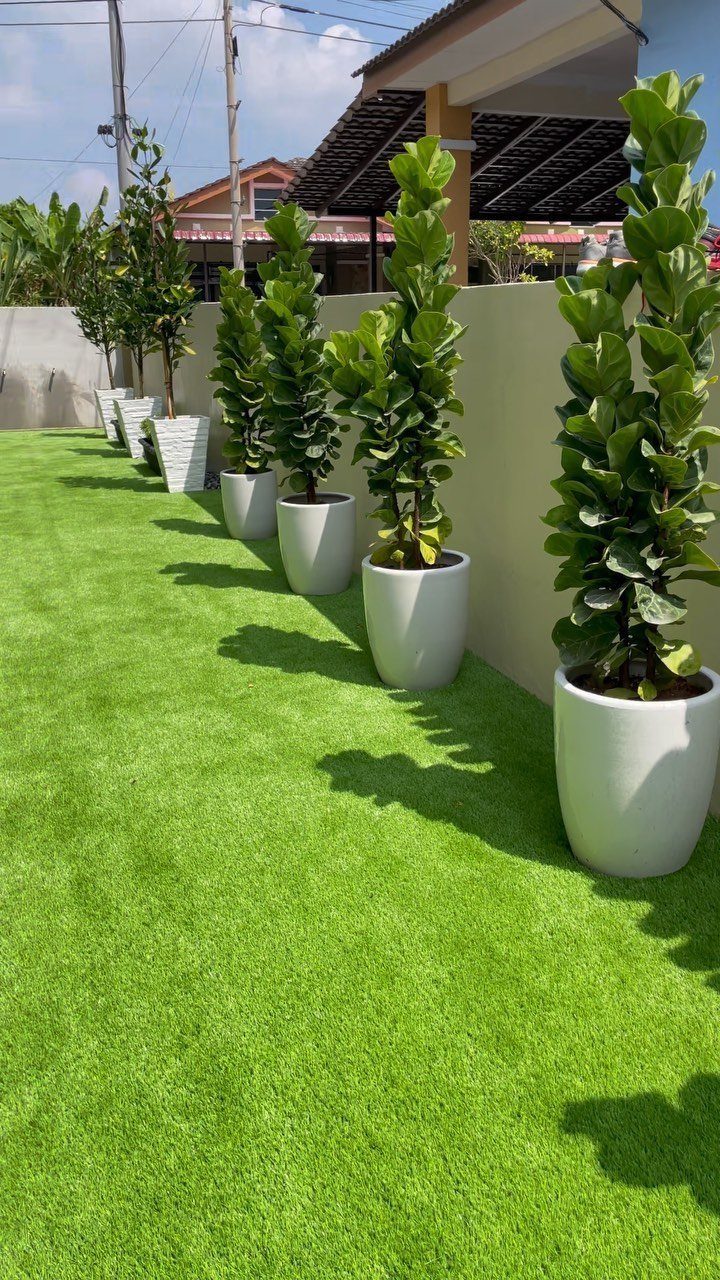 Tall green plants in white cylindrical pots arranged along a wall on artificial turf.