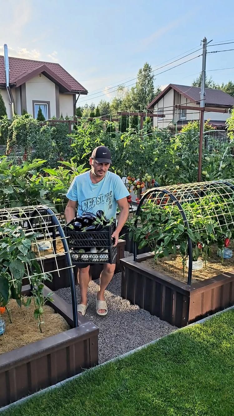 Veg Garden Design: 6 Layout Ideas for Any Space 1 A man carrying a crate of vegetables through a garden with wooden raised beds.