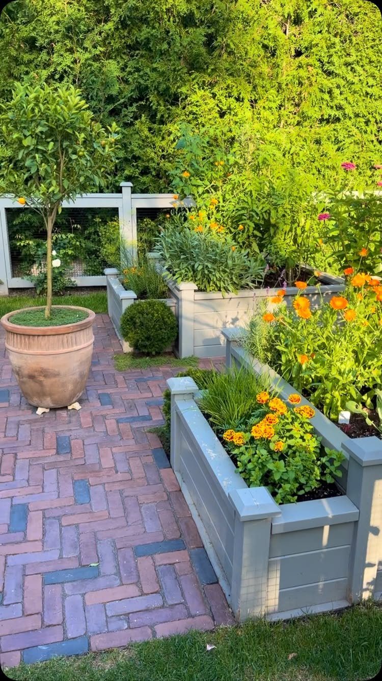 Veg Garden Design: 6 Layout Ideas for Any Space 4 Raised garden beds containing green vegetables and bright orange flowers on a brick patio.